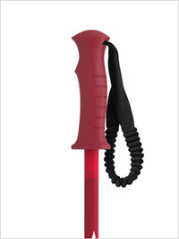 AMT Junior poles Red