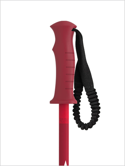 AMT Junior poles Red