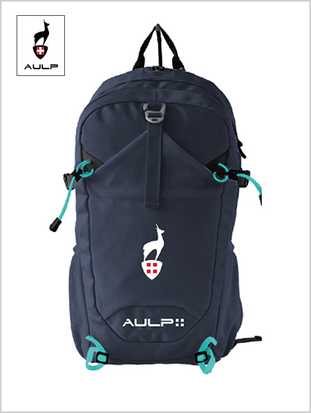 Verd120 20L Backpack - Navy